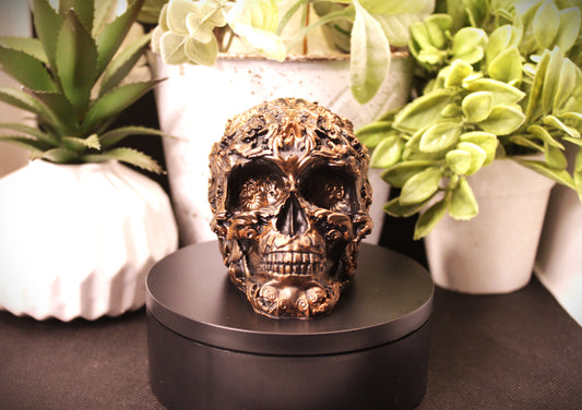 Arcane Resin Skull – Gothic Decor, Witchy Altar Skull, Dark Academia Shelf Accent – Lorewoven Oddities